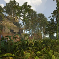 Jungle